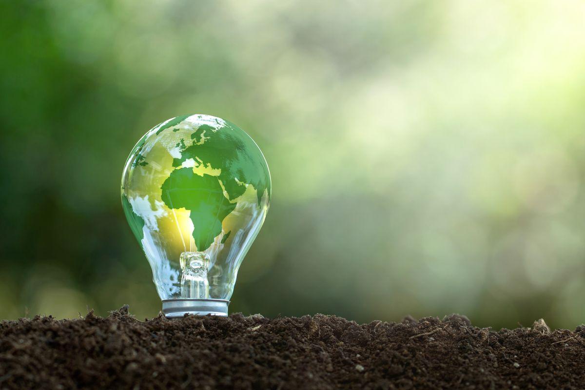 A lightbulb enclosing a green globe, resting on soil